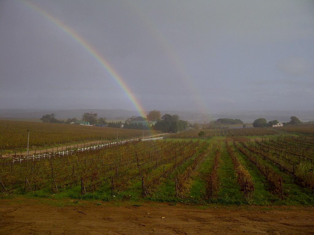 Dieu Donne Stellenbosch Extérieur photo