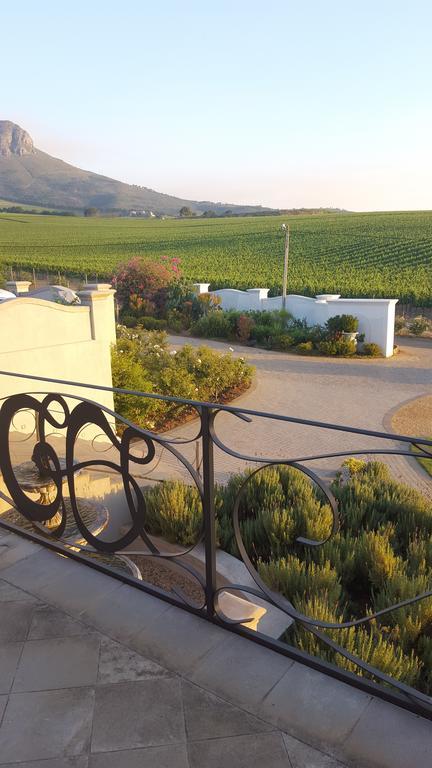 Dieu Donne Stellenbosch Extérieur photo